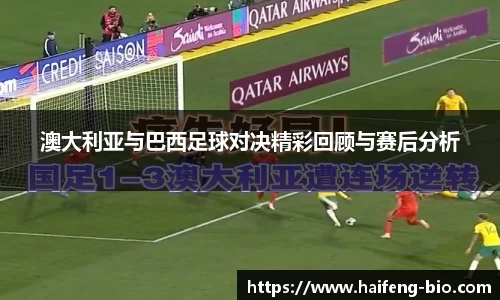 jn江南·体育登录入口