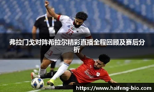 弗拉门戈对阵希拉尔精彩直播全程回顾及赛后分析