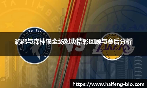 鹈鹕与森林狼全场对决精彩回顾与赛后分析
