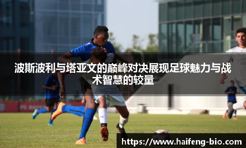 jn江南·体育登录入口