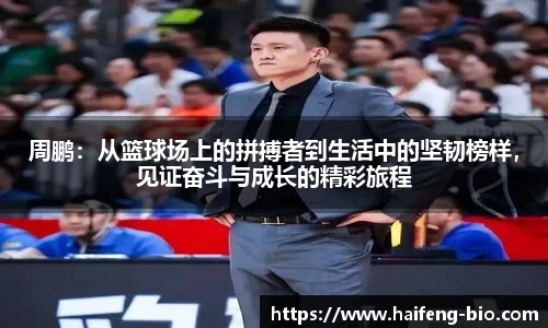 jn江南·体育登录入口
