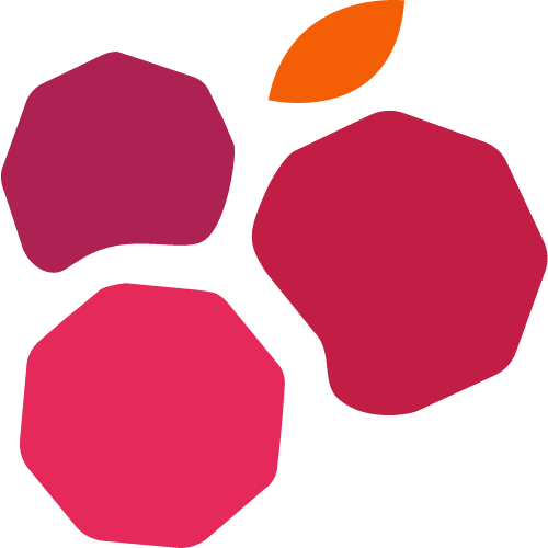 张启