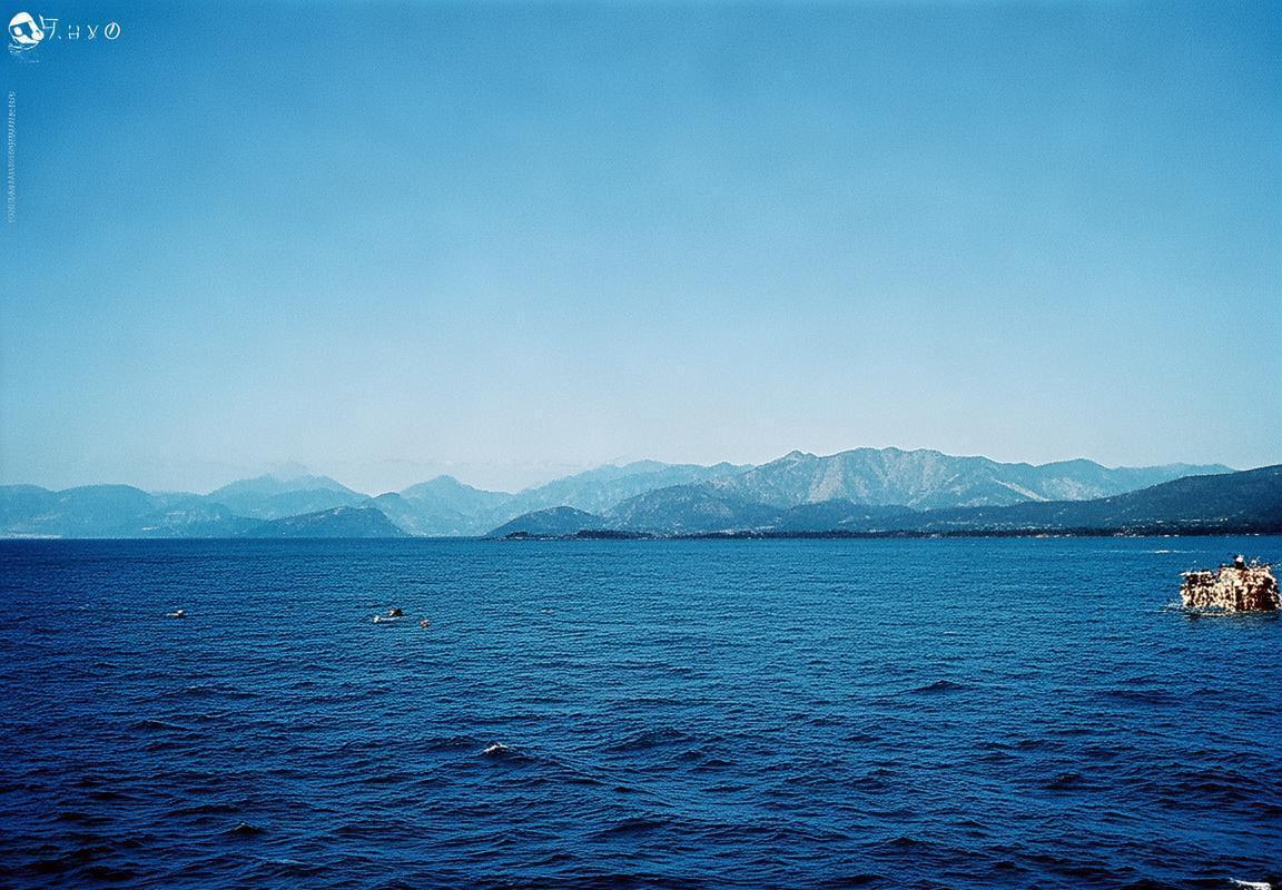 雄鹿队后场补强锁定20+3球星，密尔沃基雄鹿队或送走库兹马交易助力字母哥冲冠